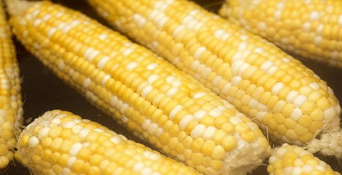 How Long to Boil Corn on the Cob Halves