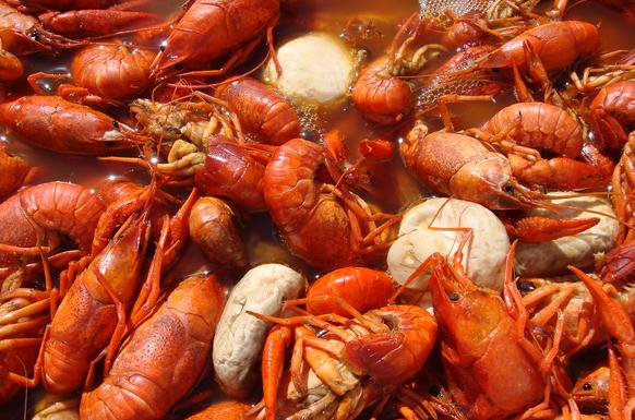 How Long to Boil Crawfish